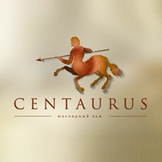 Разработка фирменного стиля для «Centaurus»