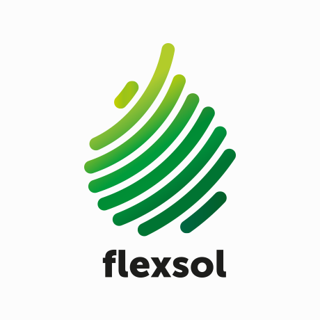 Презентация для Flexsol