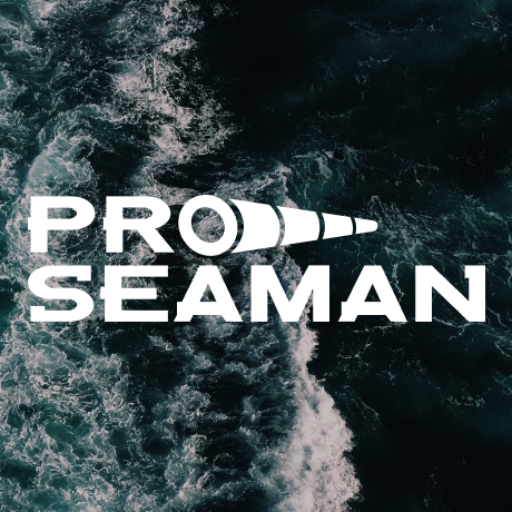 Логотип и сайт для Proseaman
