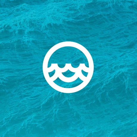 Логотип TopSeafarers