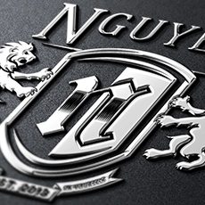 Логотип финансовой компании «Nguyen»
