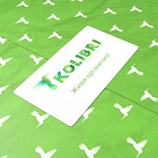 Фирменный стиль «Kolibri»