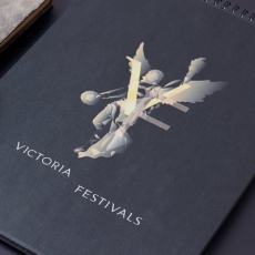 Фирменный стиль «Victoria Festivals»