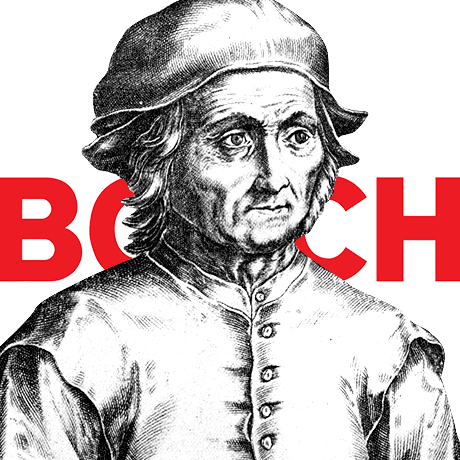 Идеально. Bosch