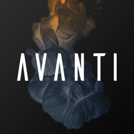 Логотип и фирменный стиль Avanti