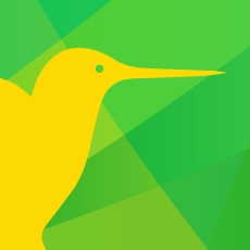 Логотип для «Kolibri»