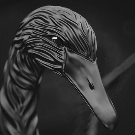 Black Swan