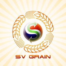 Разработка логотипа для «Synergy Vector Grain»