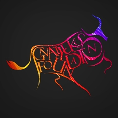 Логотип «Gnatyuk foundation»