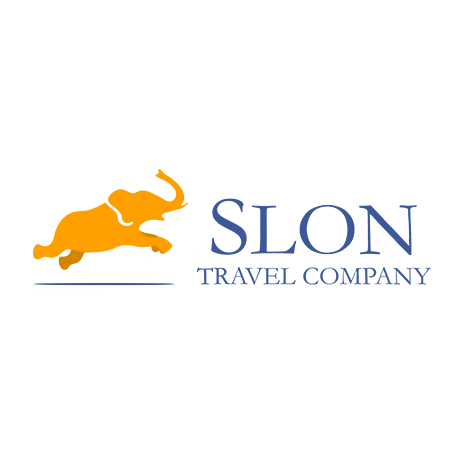 Дизайн сайта для Slon Travel