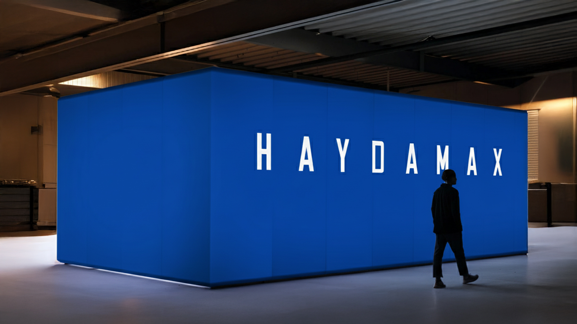 Identity for a future-focused investment management company — Haydamax