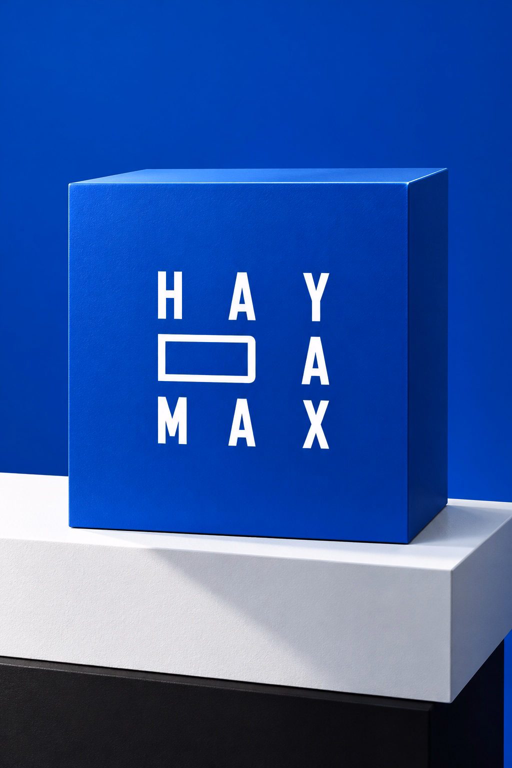 Flawless identity for the far-sighted investment company Haydamax, Haydamax